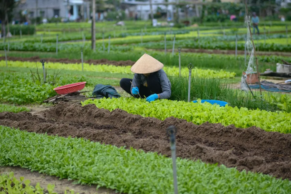 Người tư vấn tại cửa hàng
