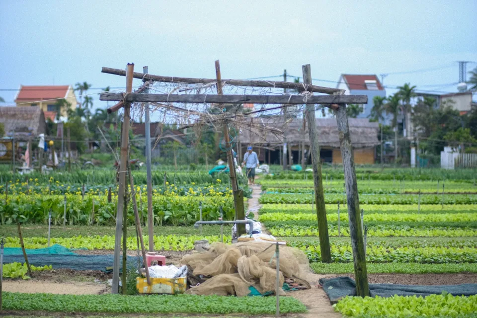 Kho giống thoáng, khô ráo